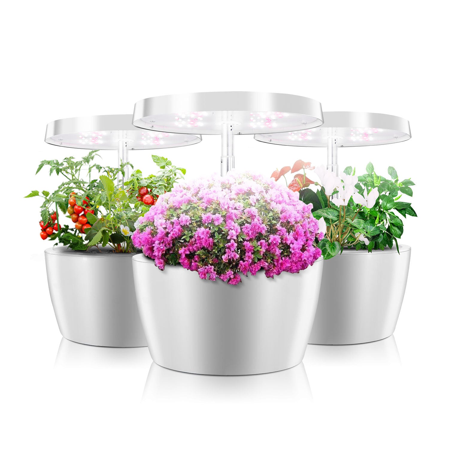 Hydroponic Plant Growth Machine