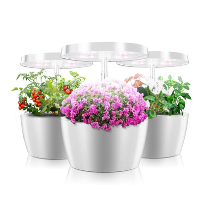 Hydroponic Plant Growth Machine