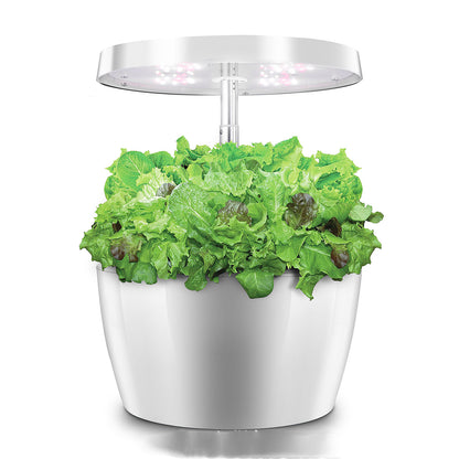 Hydroponic Plant Growth Machine