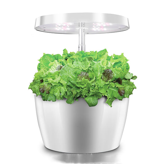 Hydroponic Plant Growth Machine